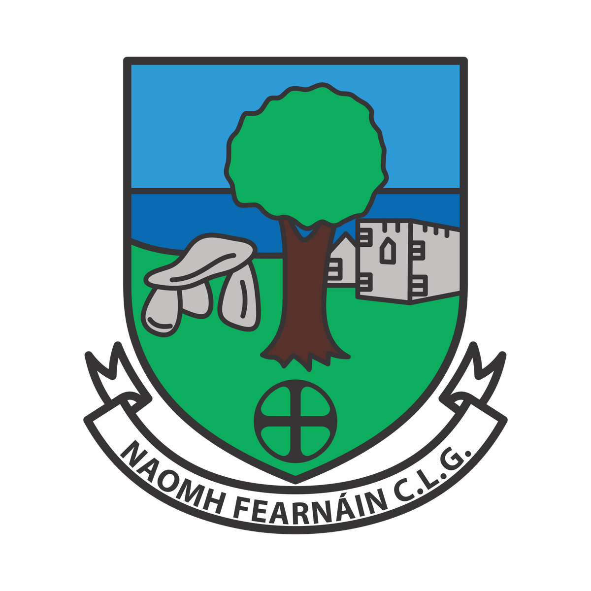 St Farnans GAA/LGFA