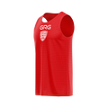 Bibs